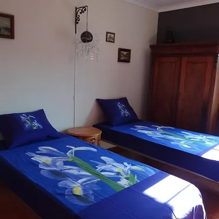 Casa Do Tamega Apartment Amarante